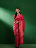 Catalog Designer Saree.