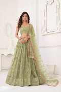 Latest Semi Stitched Lehenga Choli With Dupatta.