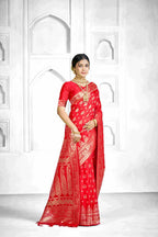 Catalog Designer Saree.