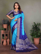 Catalog Designer Saree.