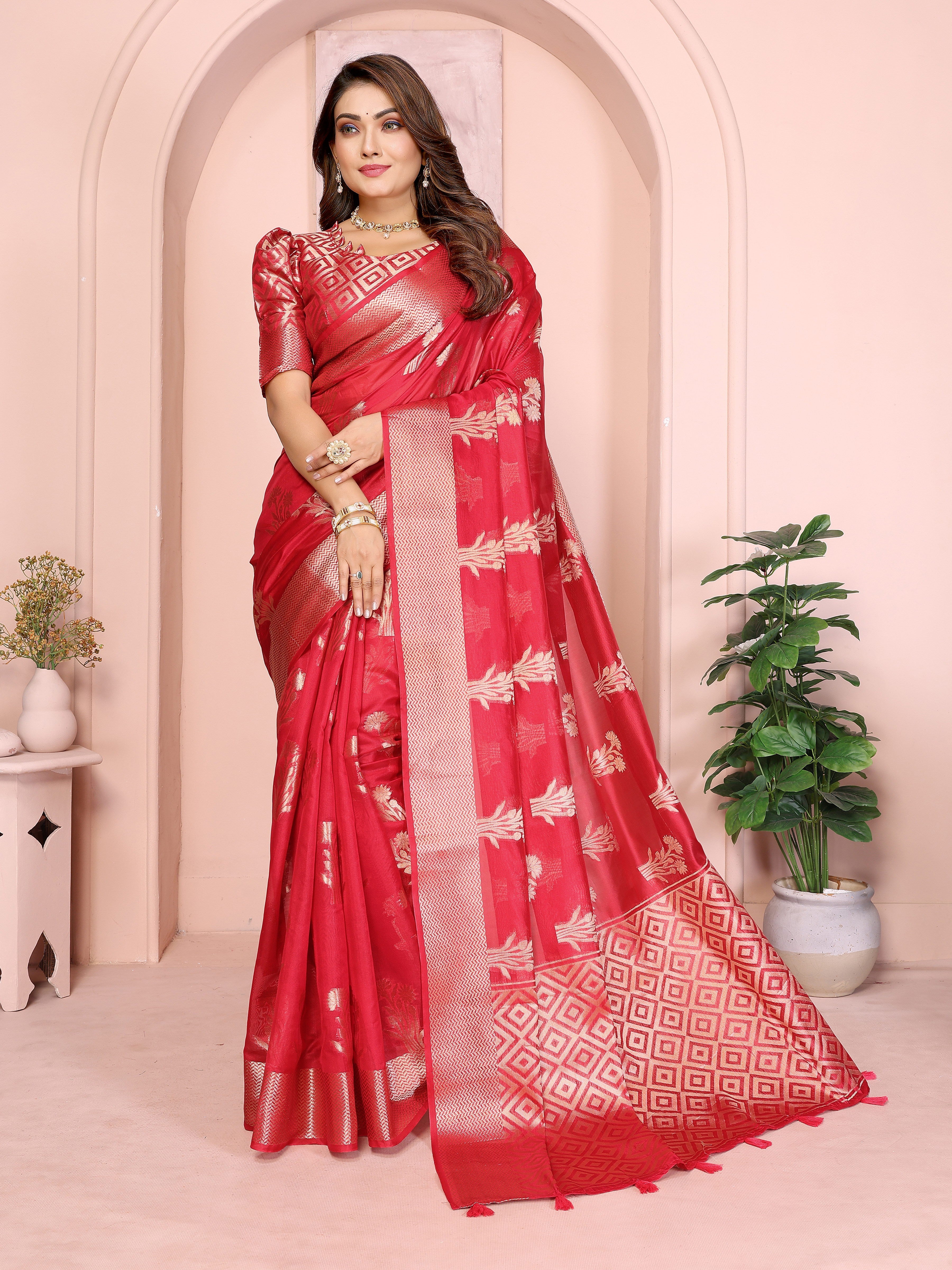 Catalog Designer Saree.