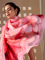Catalog Designer Saree.