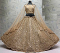 Latest Semi Stitched Lehenga Choli With Dupatta.