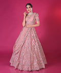 New Wedding and Festival Semi Stitiched Lehenga Choli