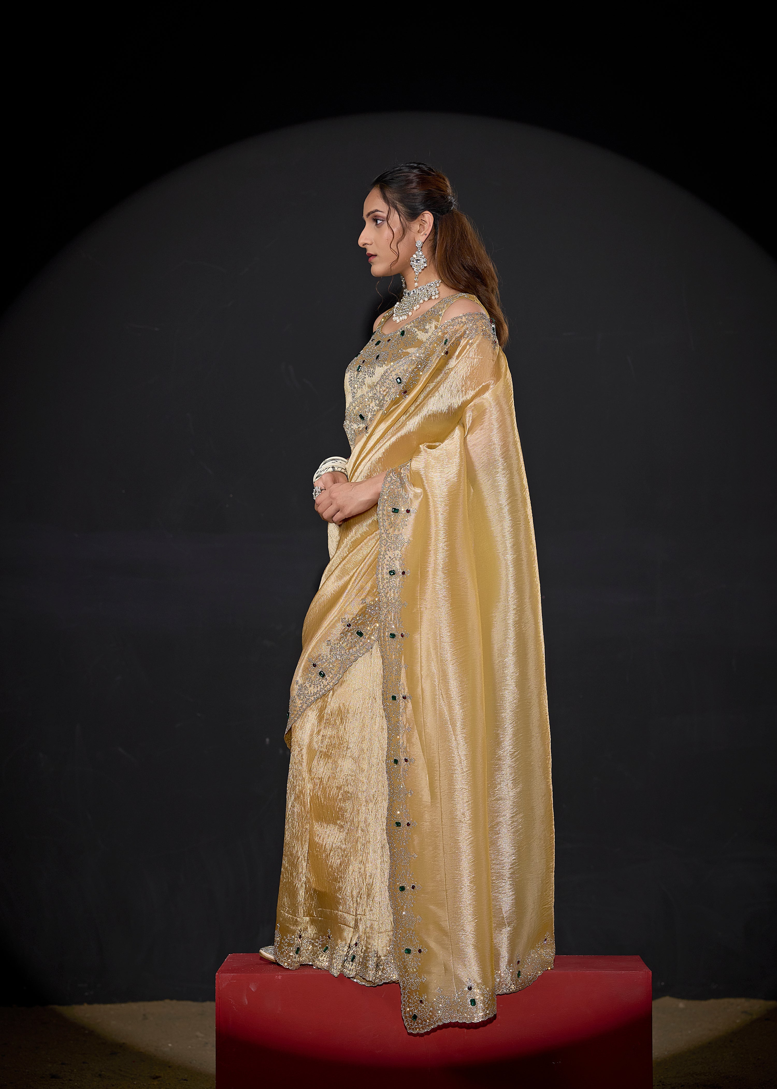Catalog Designer Saree.