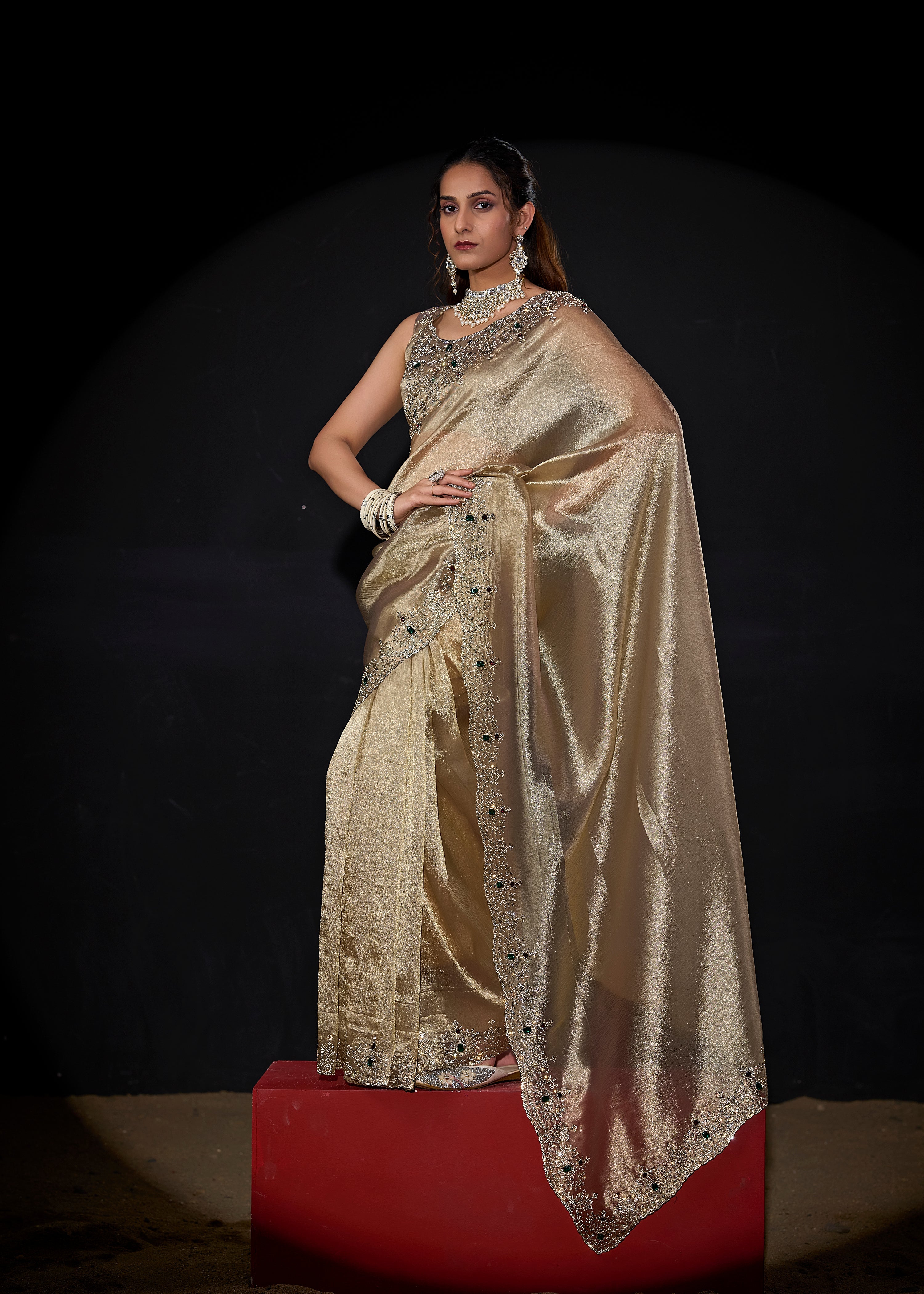 Catalog Designer Saree.