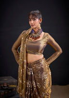 Catalog Designer Saree.