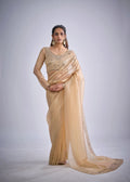 Catalog Designer Saree.