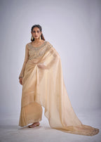 Catalog Designer Saree.