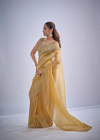 Catalog Designer Saree.
