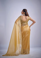 Catalog Designer Saree.