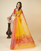 Catalog Designer Saree