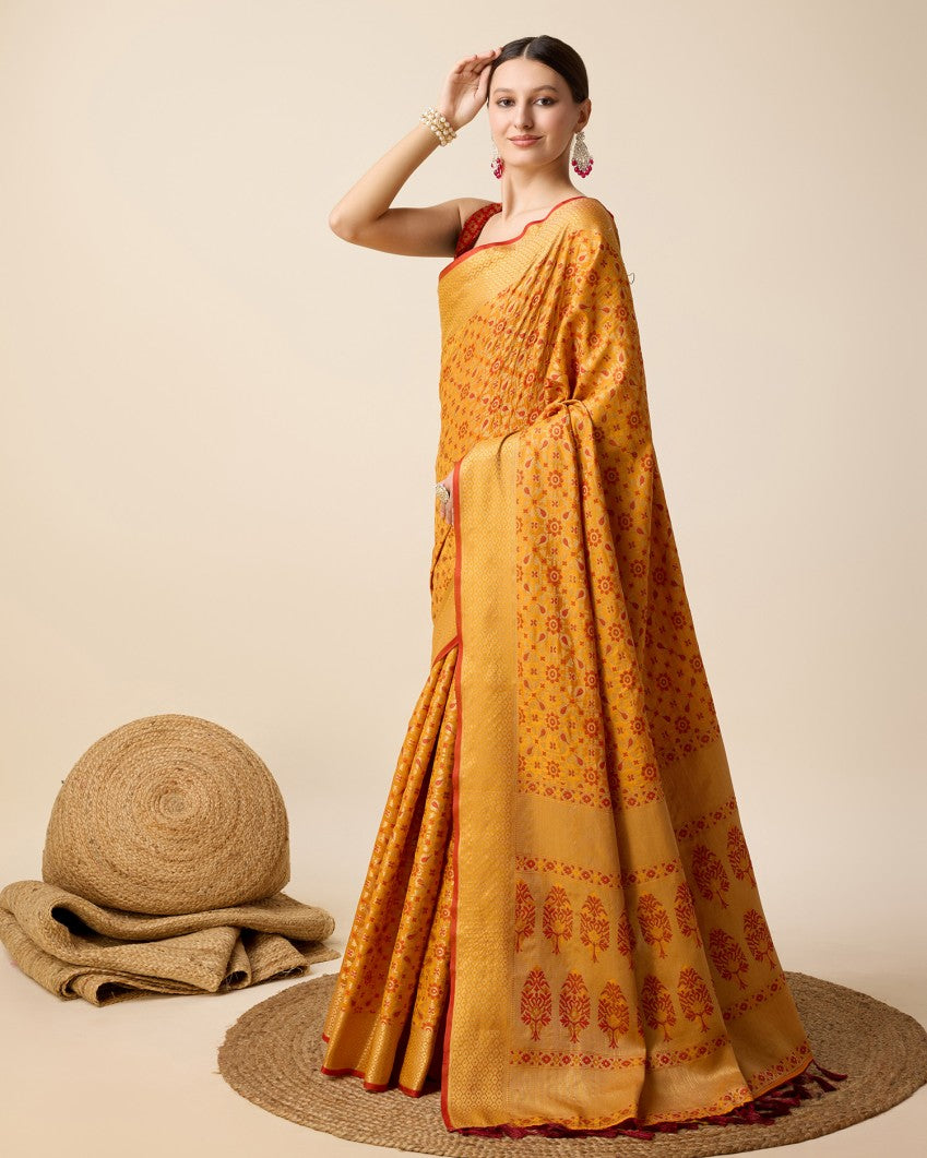 Catalog Designer Saree
