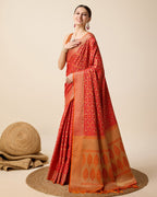 Catalog Designer Saree