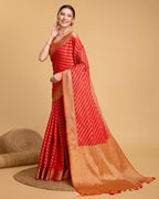 Catalog Designer Saree