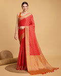 Catalog Designer Saree