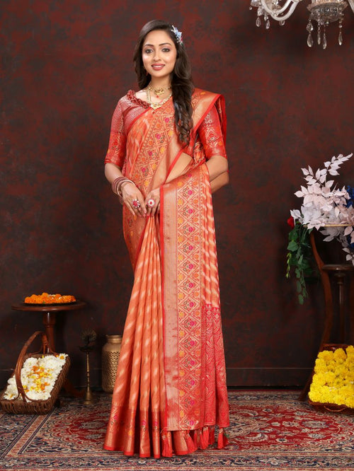 Catalog Designer Saree