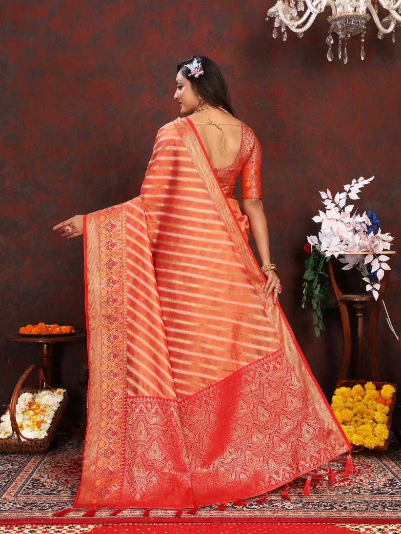 Catalog Designer Saree