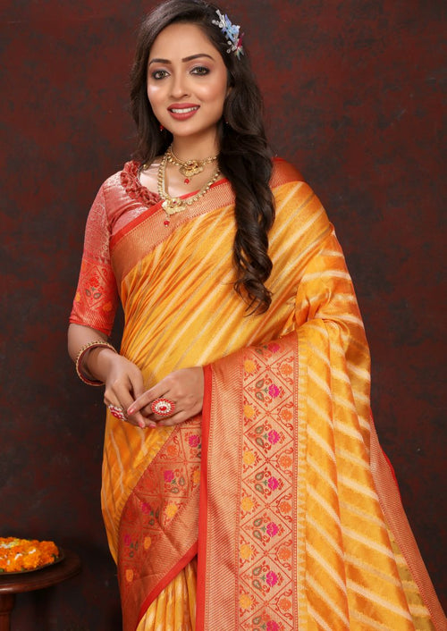 Catalog Designer Saree