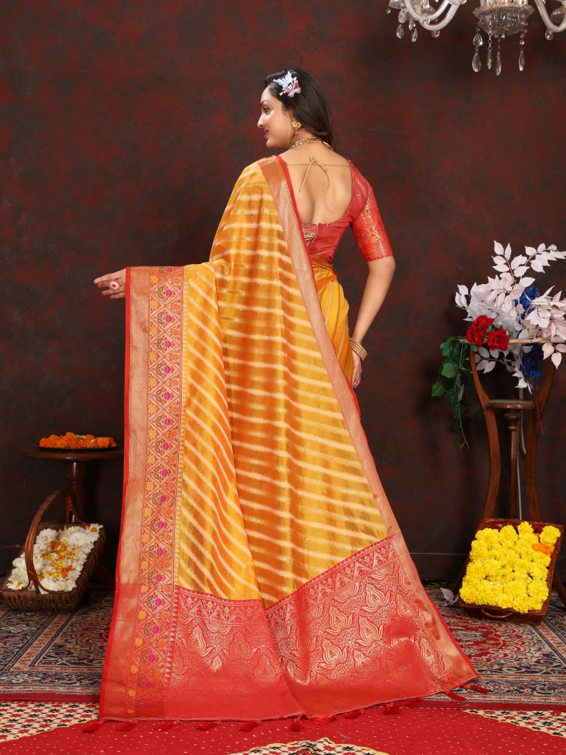 Catalog Designer Saree
