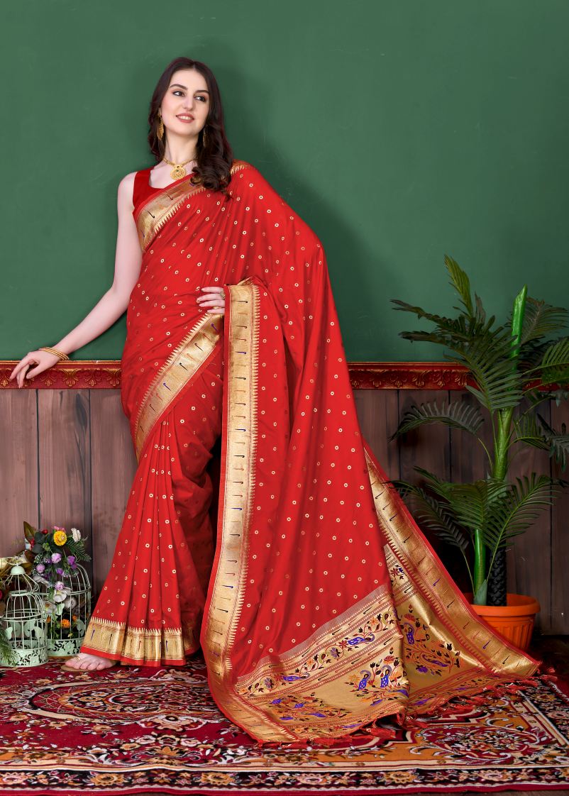 Catalog Designer Saree