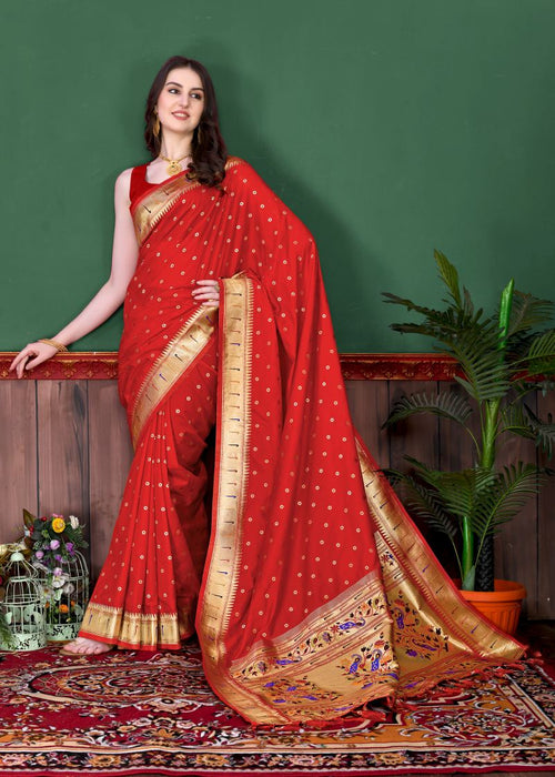 Catalog Designer Saree