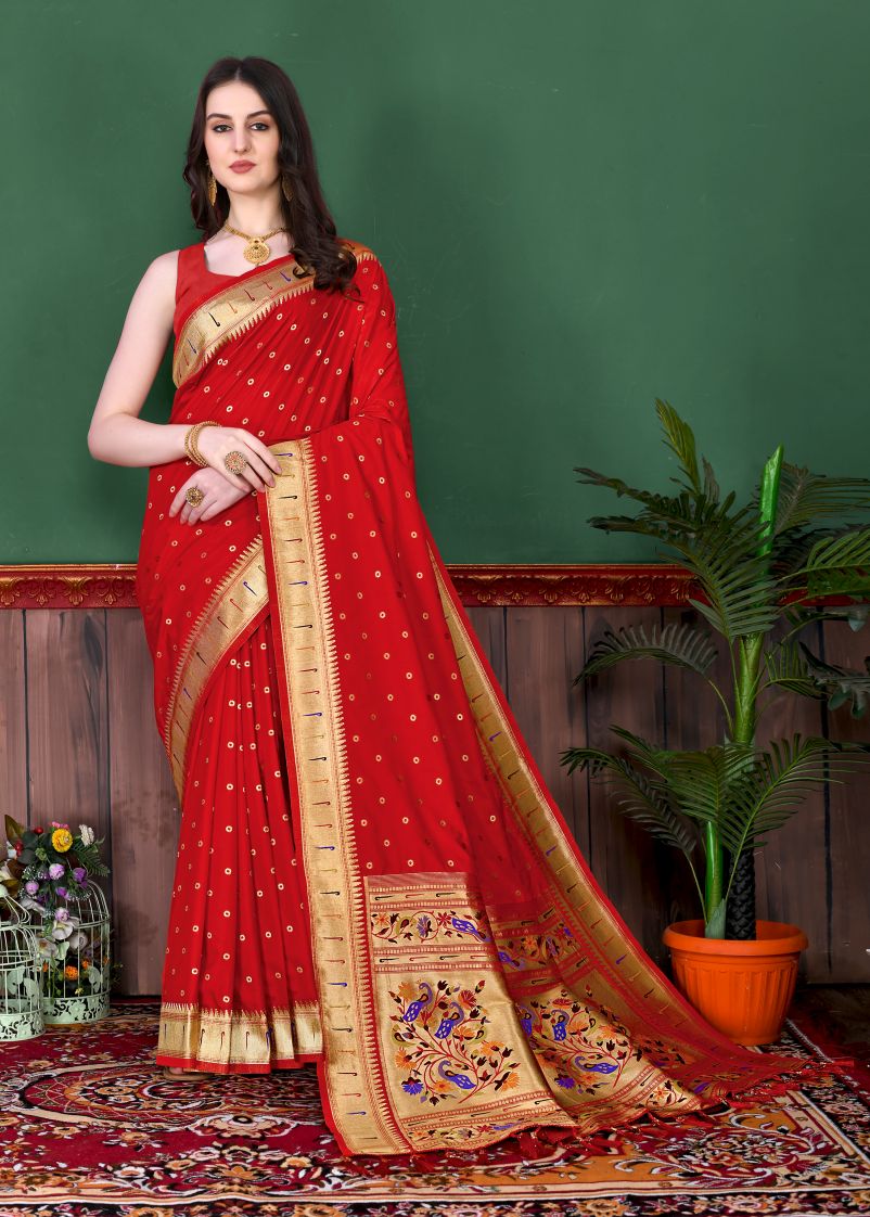 Catalog Designer Saree