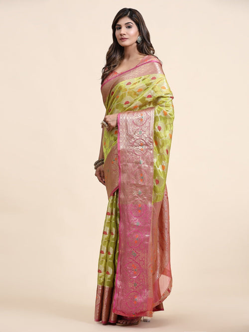 Catalog Designer Saree