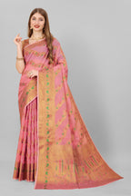 Catalog Designer Saree
