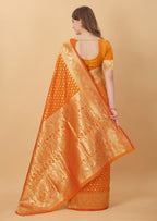 Catalog Designer Saree