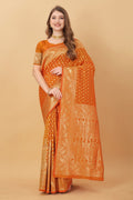 Catalog Designer Saree