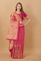 Catalog Designer Saree