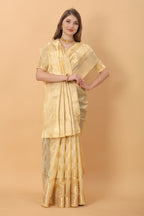 Catalog Designer Saree