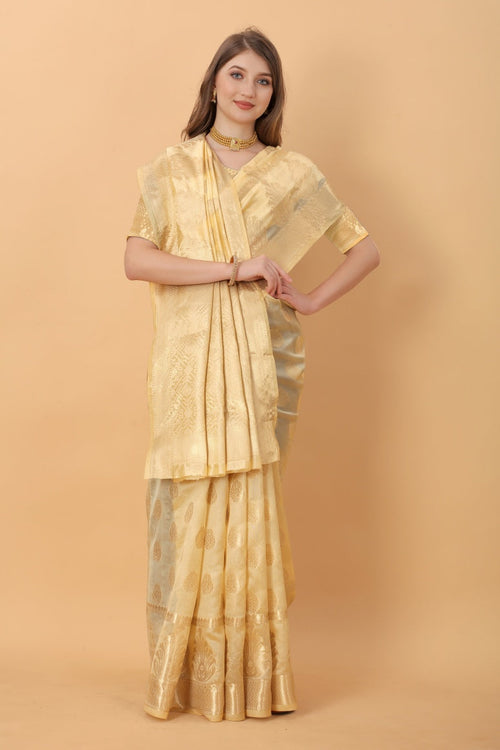 Catalog Designer Saree
