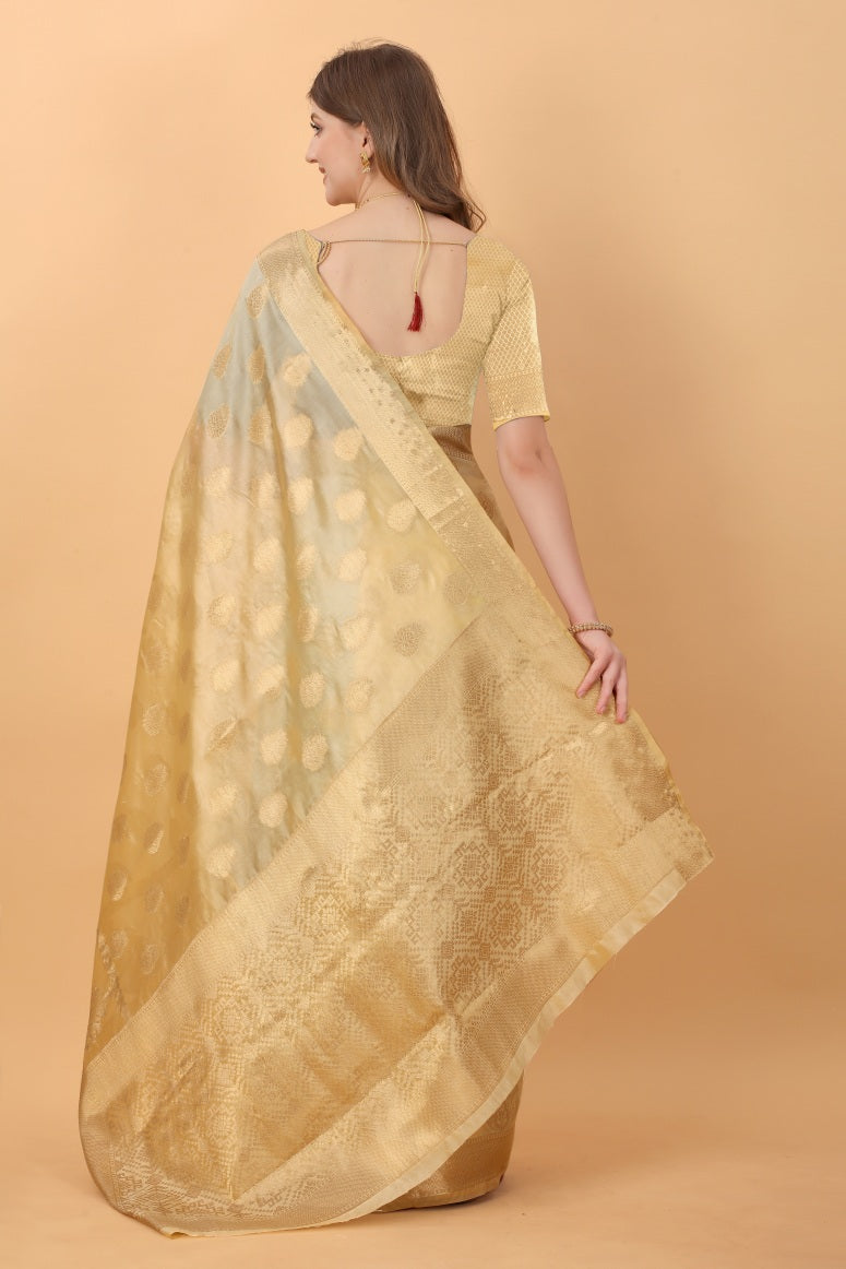 Catalog Designer Saree