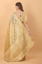 Catalog Designer Saree