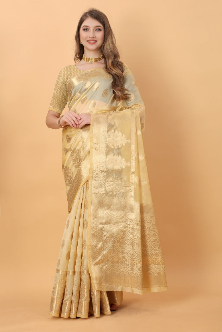Catalog Designer Saree