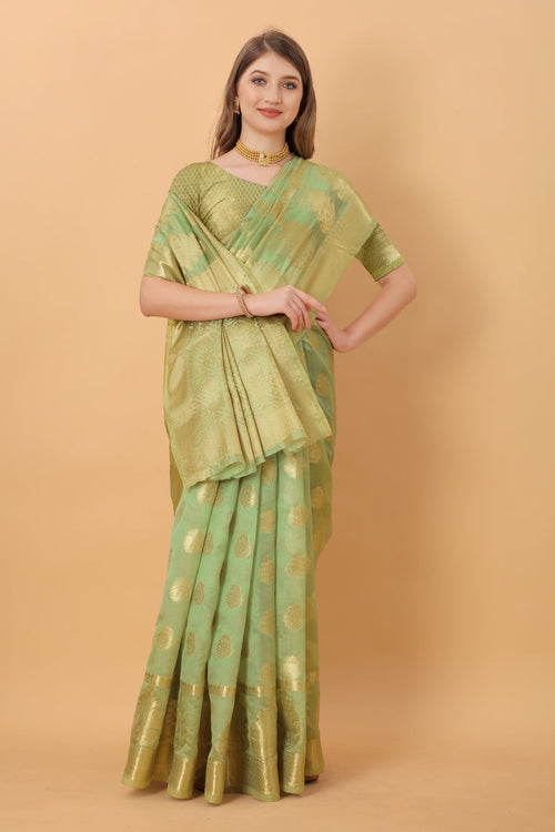 Catalog Designer Saree