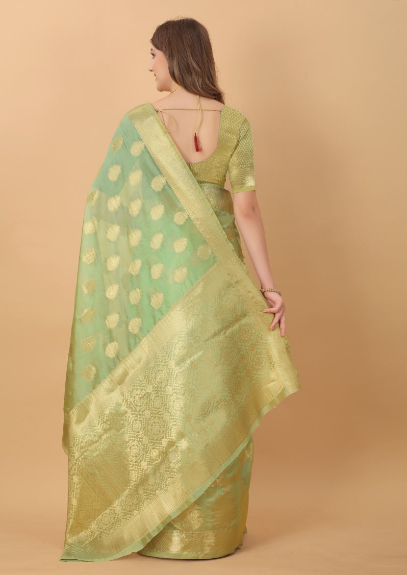 Catalog Designer Saree