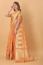 Catalog Designer Saree