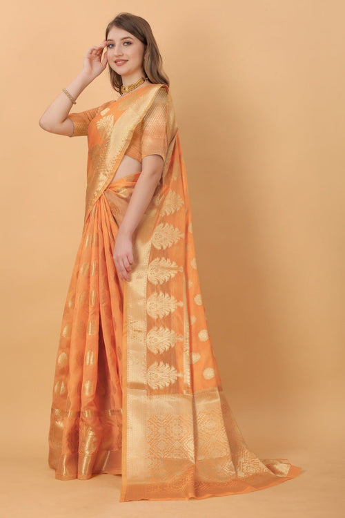 Catalog Designer Saree