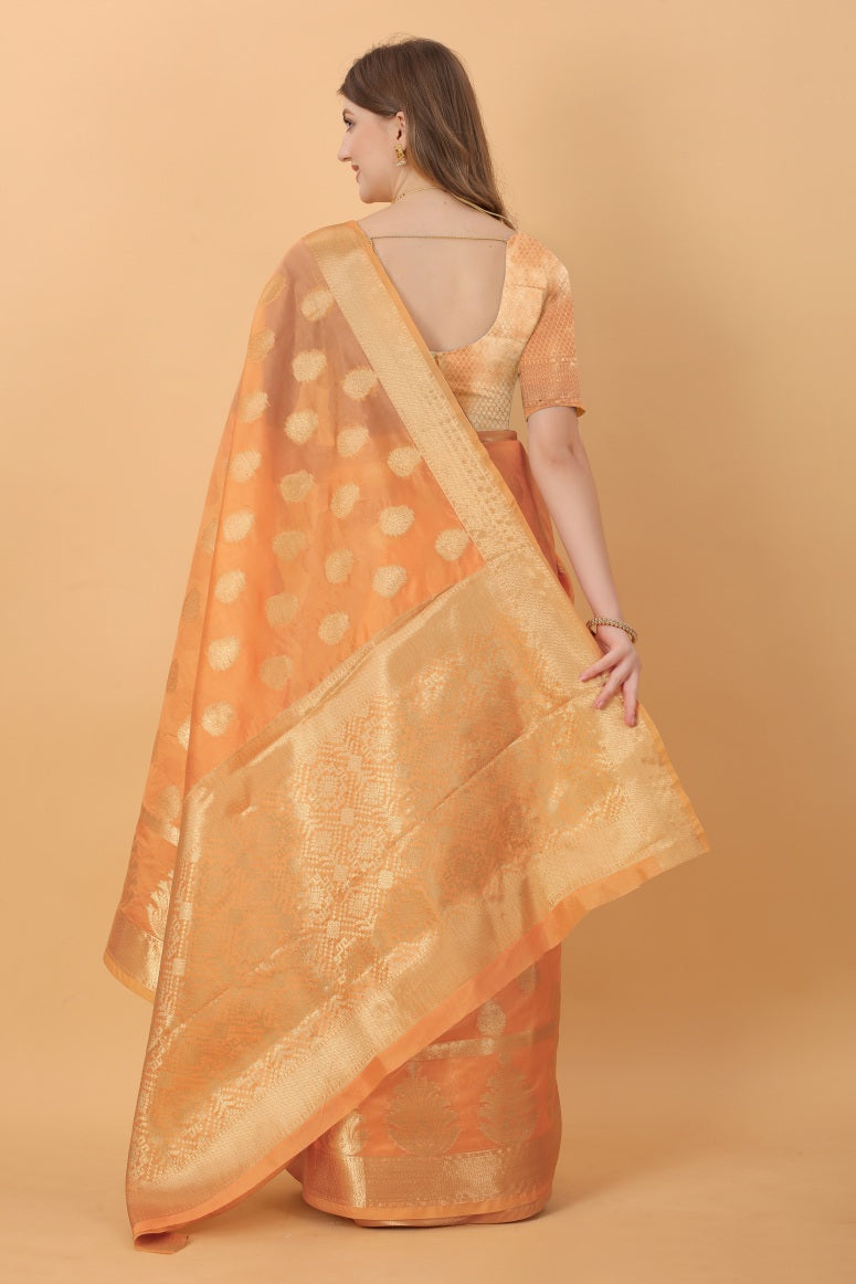 Catalog Designer Saree