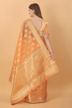 Catalog Designer Saree