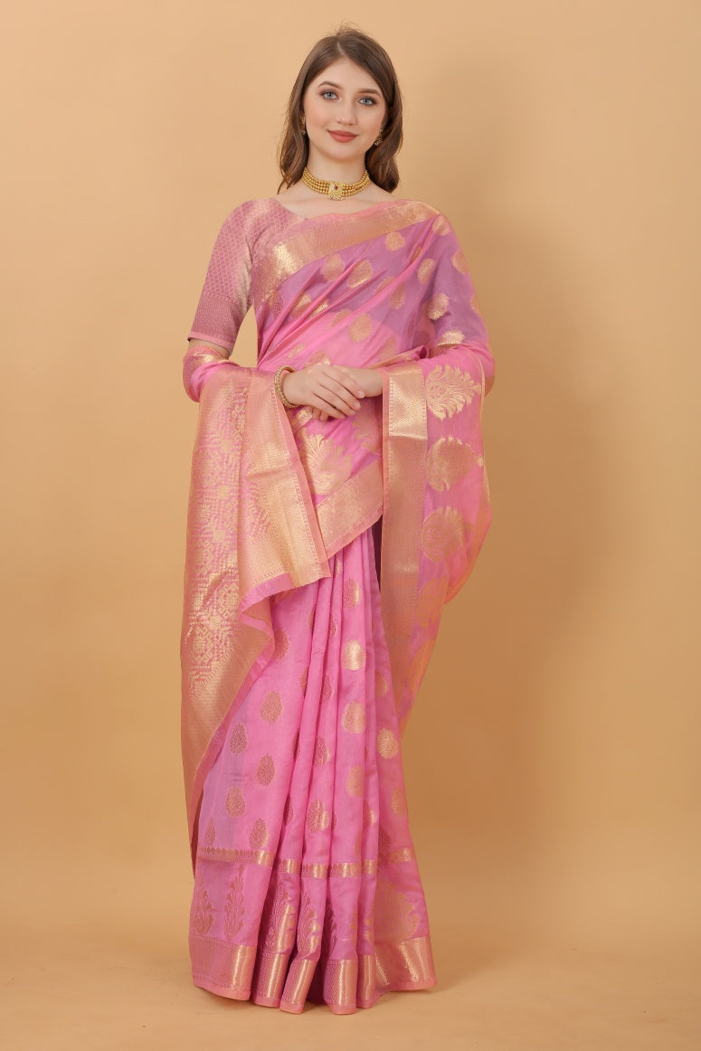 Catalog Designer Saree