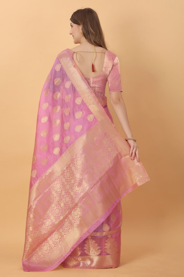 Catalog Designer Saree