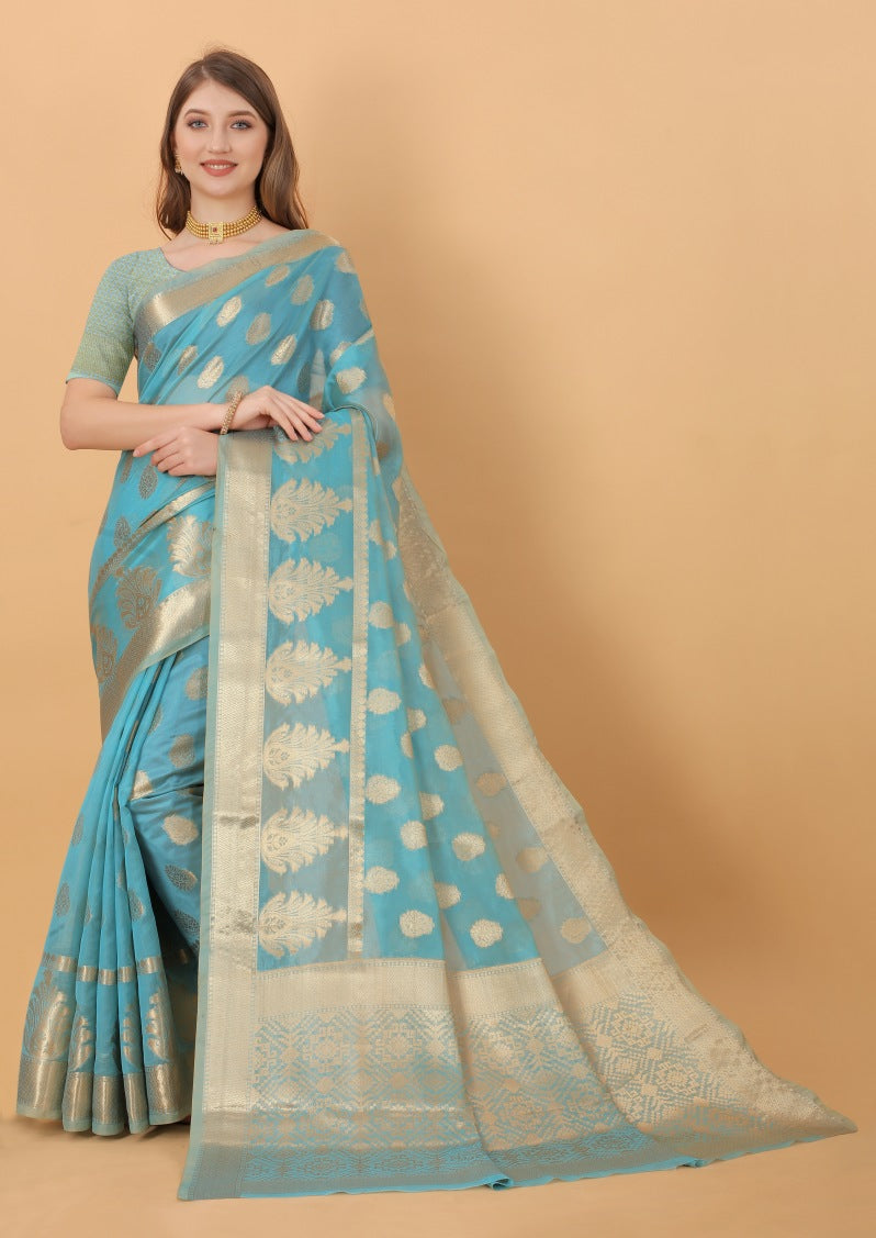 Catalog Designer Saree