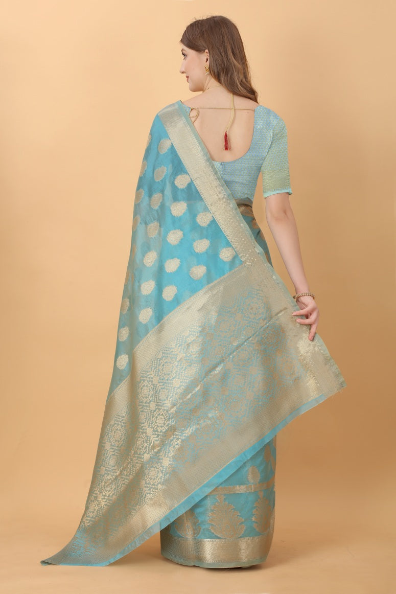 Catalog Designer Saree