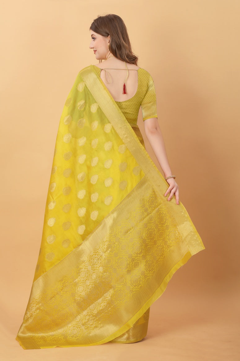 Catalog Designer Saree