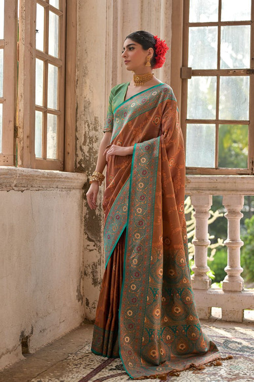 Catalog Designer Saree