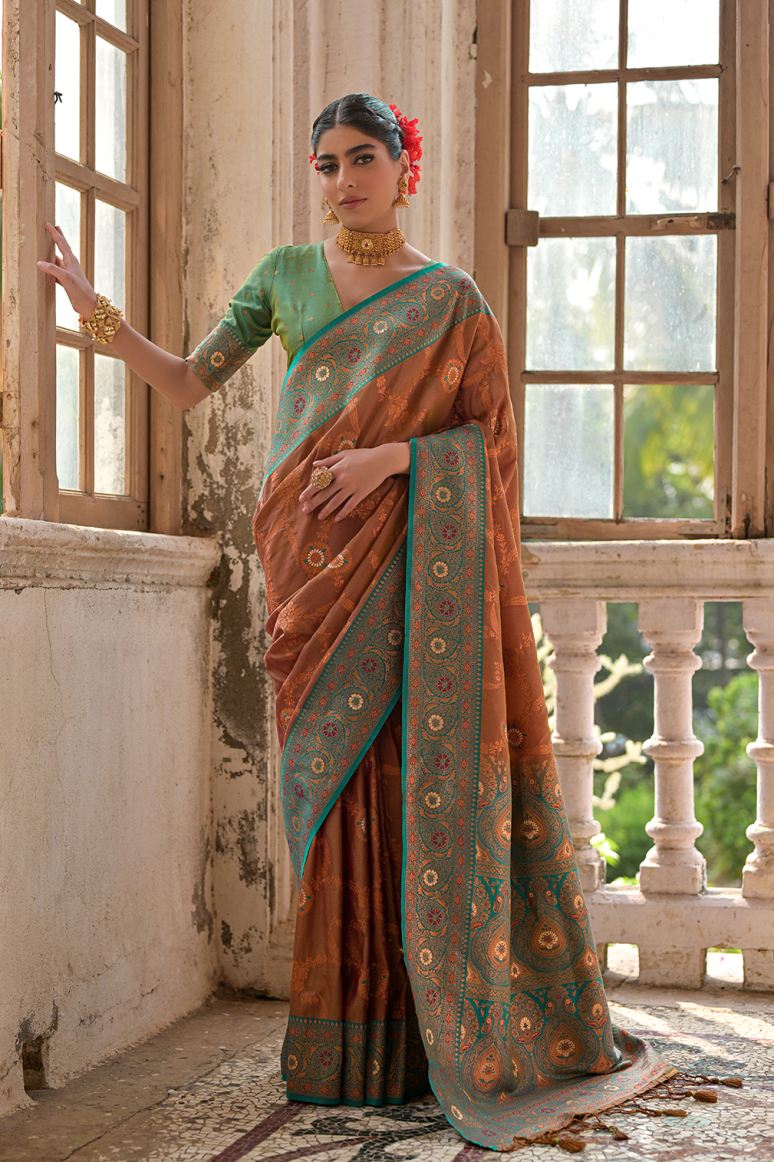 Catalog Designer Saree